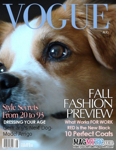 Vogue