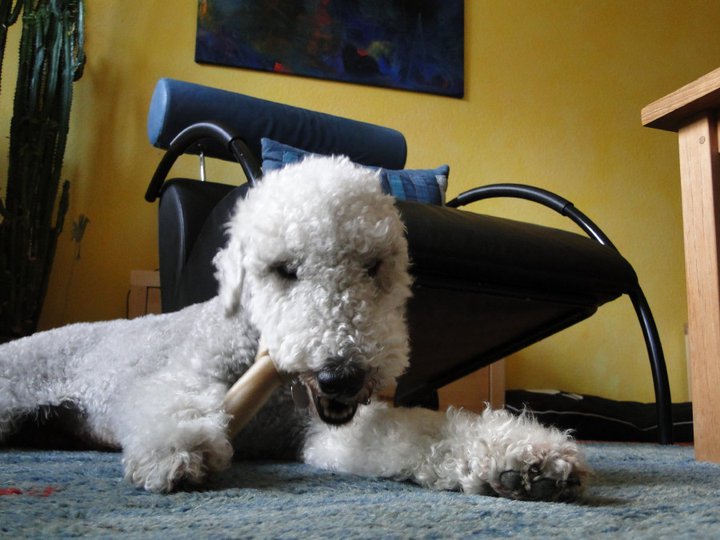 Benny