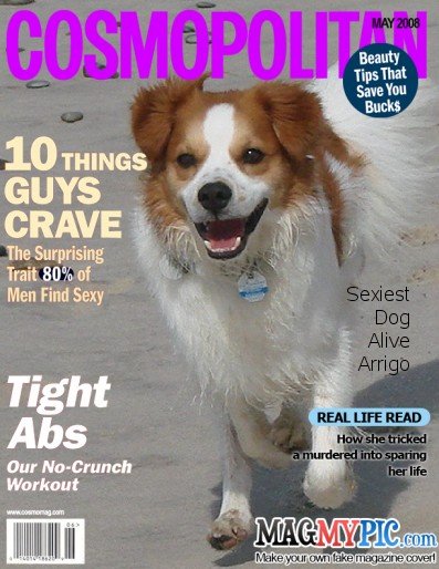 cosmopolitan