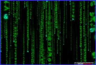 Matrix Screensaver
