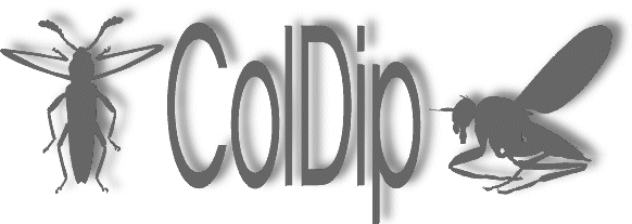 logo coldip