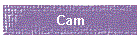 Cam