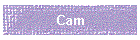 Cam