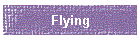 Flying