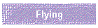 Flying