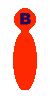 Bernd