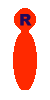 Ricci