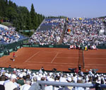 Davis Cup