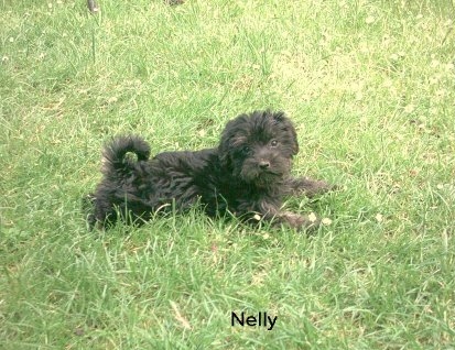 nelly