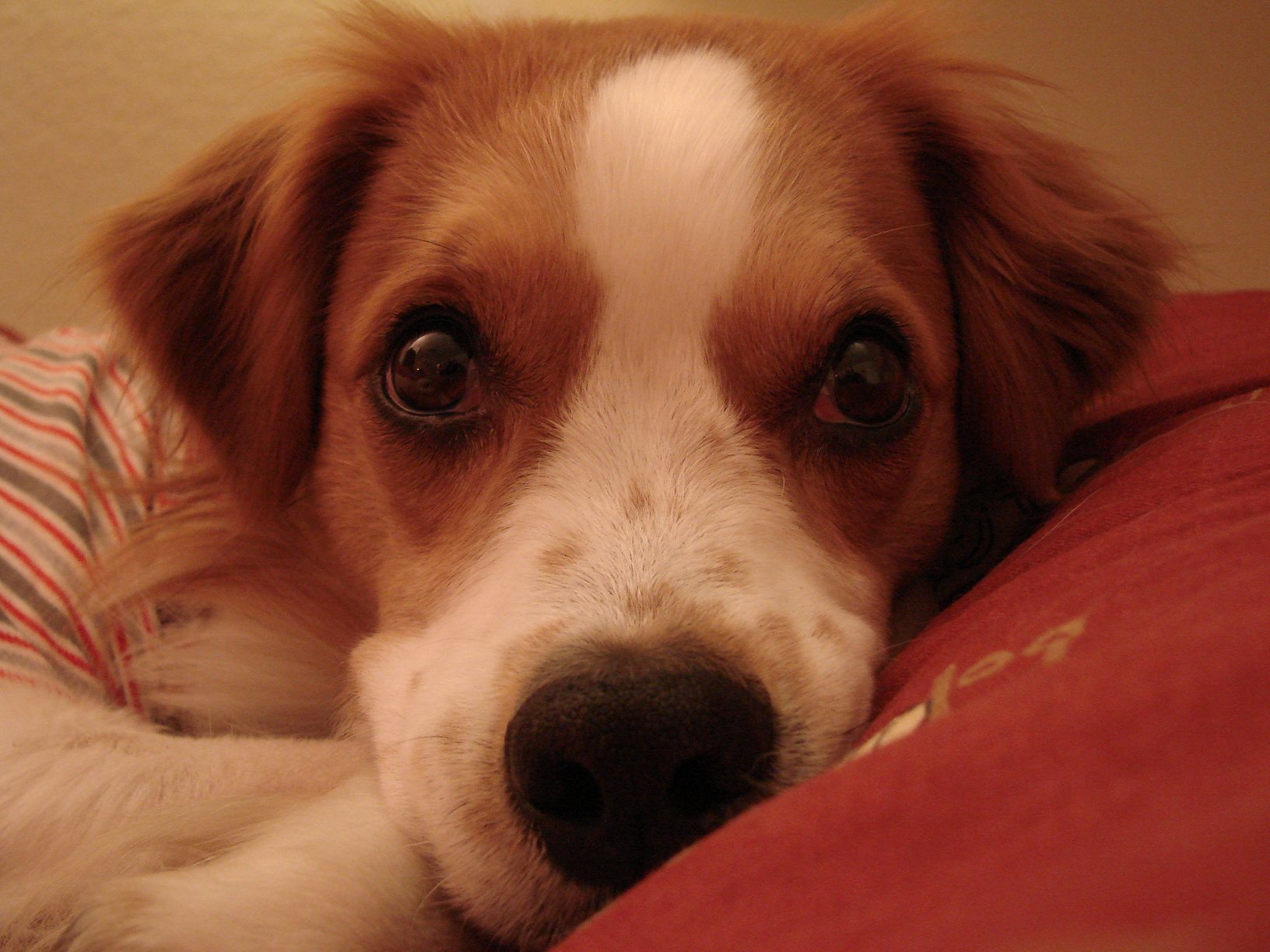 Der Patient