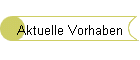 Aktuelle Vorhaben
