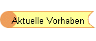 Aktuelle Vorhaben