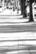 K&ouml;lner Schatten...