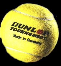Dunlop.jpg (12501 Byte)