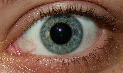 Augendiagnose Irisdiagnose