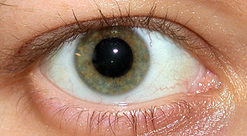 Augendiagnose Irisdiagnose