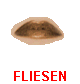 FLIESEN