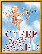 Cyber Save Award